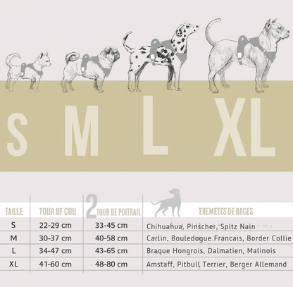 Harnais réfléchissant anti-traction