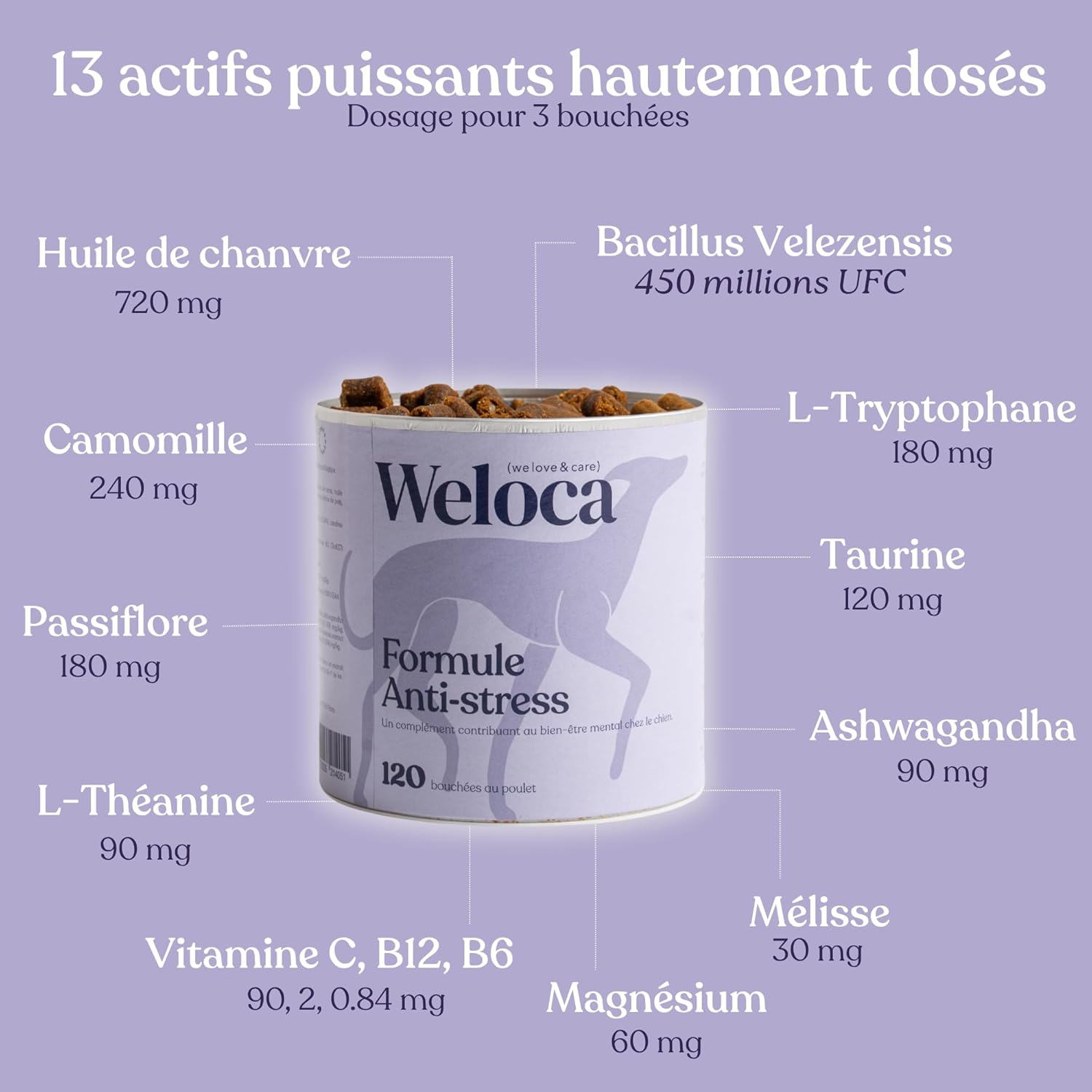 Complément alimentaire anti-stress pour chiens