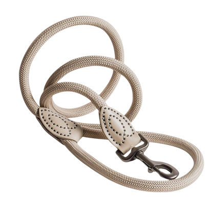 Laisse en polyamide et cuir