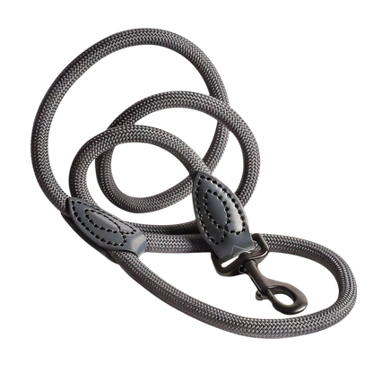 Laisse en polyamide et cuir