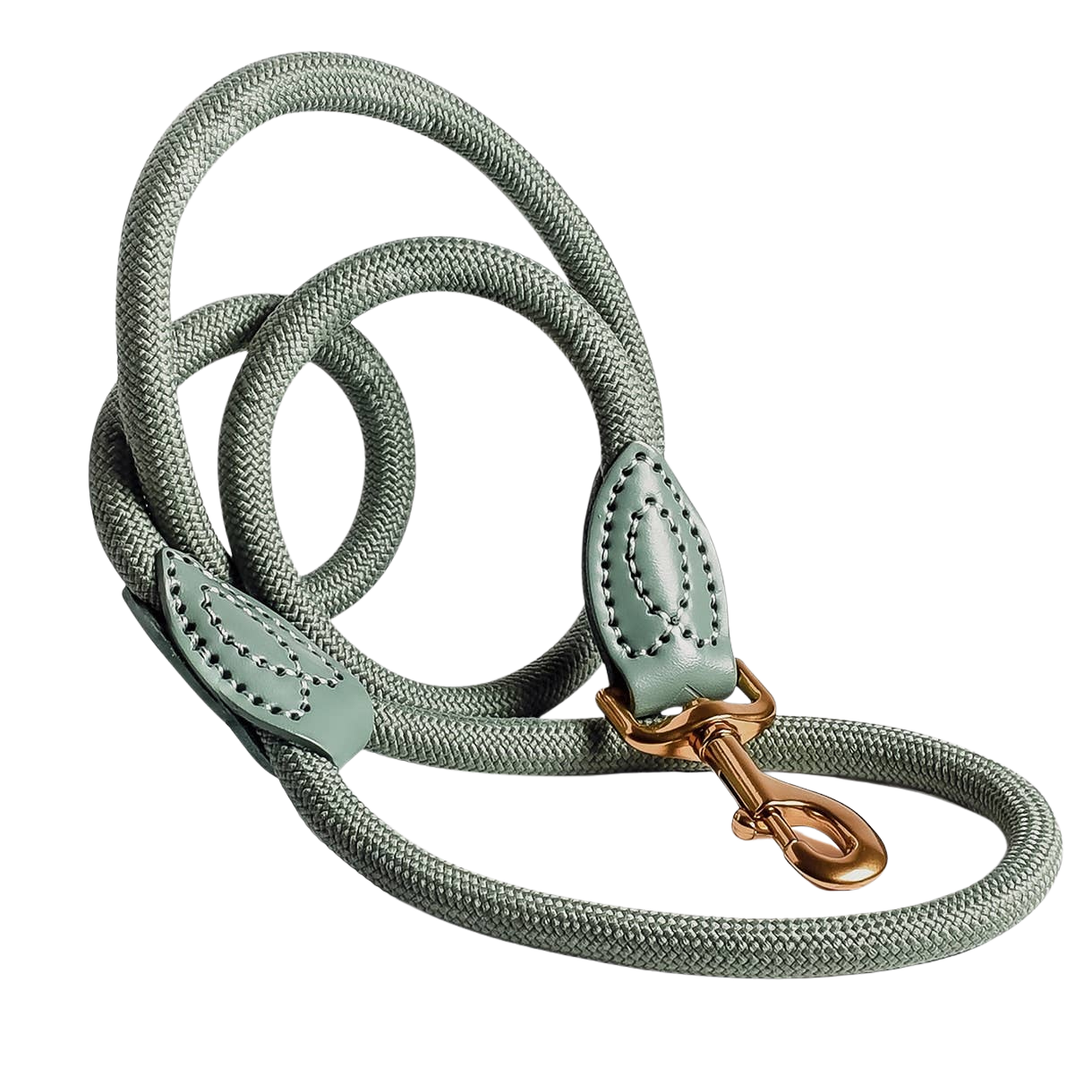 Laisse en polyamide et cuir