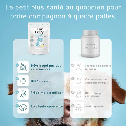 Poudre intestinale à base de plantes pour chiens