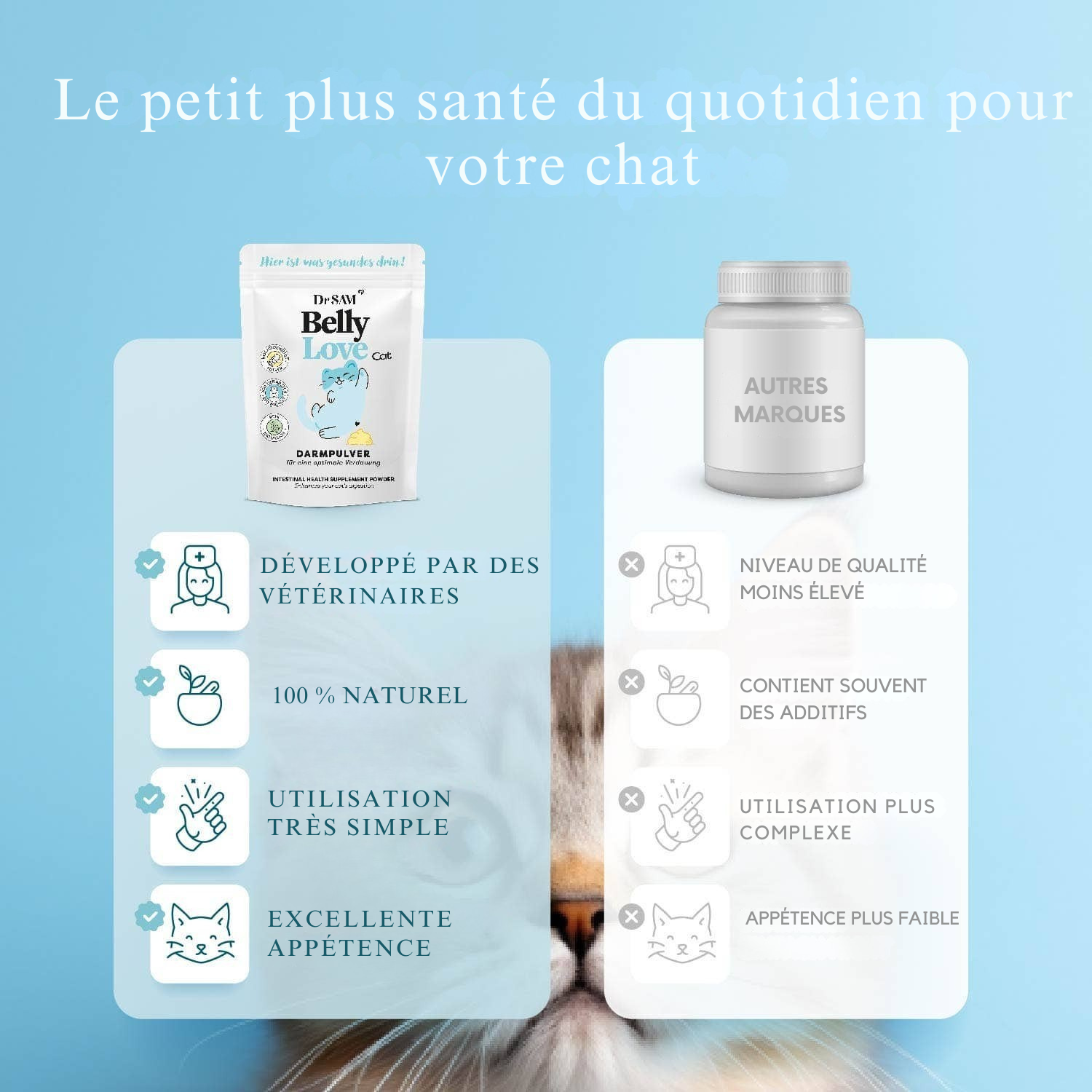 Poudre intestinale à base de plantes pour chats