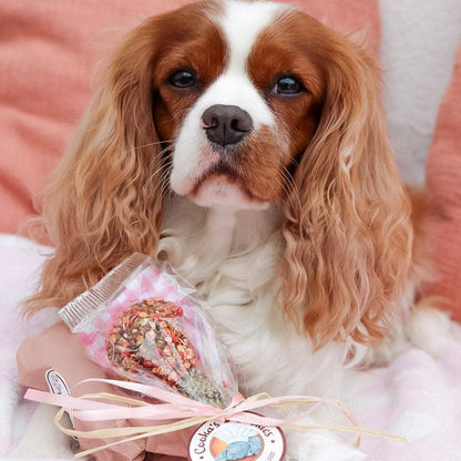 Friandise dinde et peau de morue pour chiens