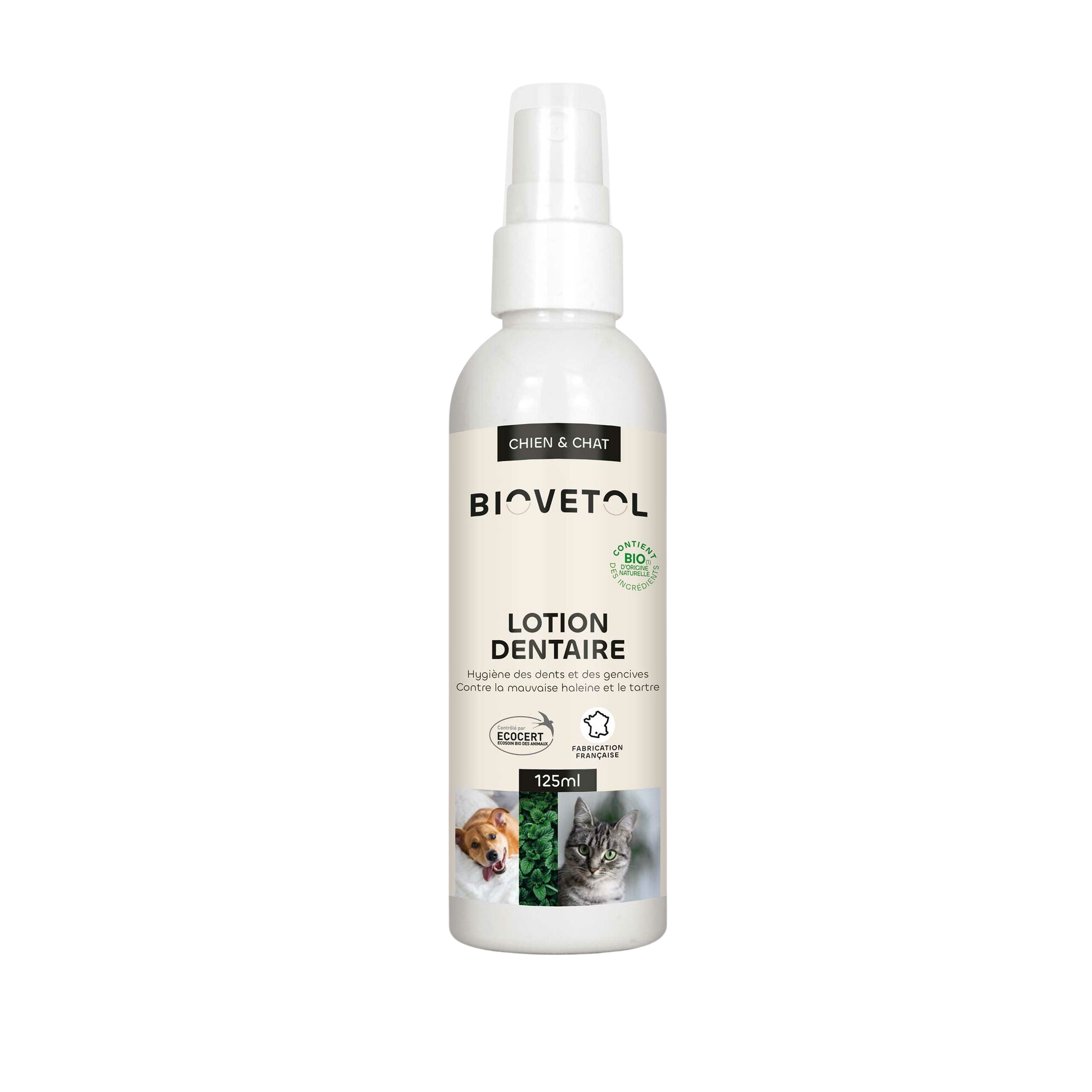 Lotion dentaire aux actifs végétaux bio