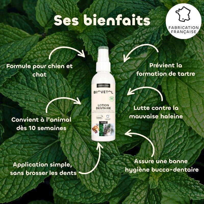 Lotion dentaire aux actifs végétaux bio