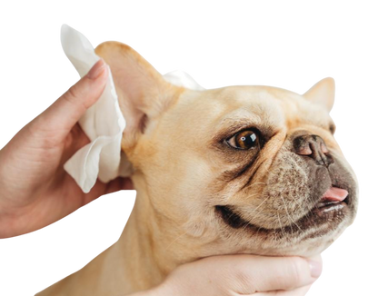 Lingettes de toilettage naturelles en bambou