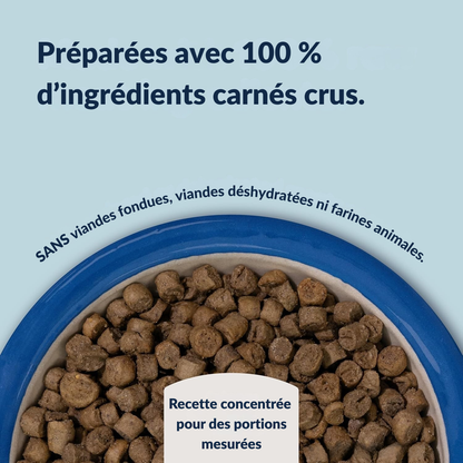 Croquettes boeuf & merlan bleu du Sud pour chats