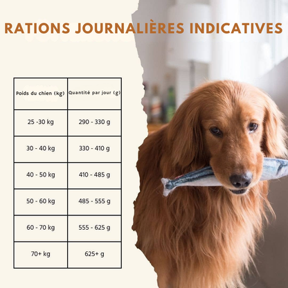 Croquettes au saumon et à la truite pour chiens adultes