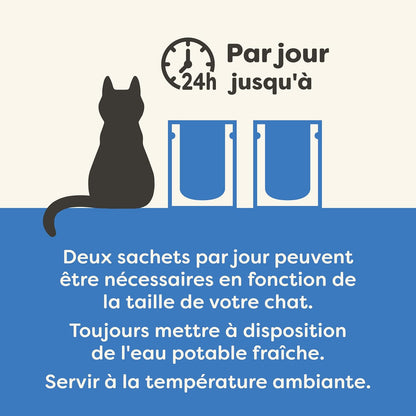 Filet de thon et crevettes en bouillon pour chats adultes