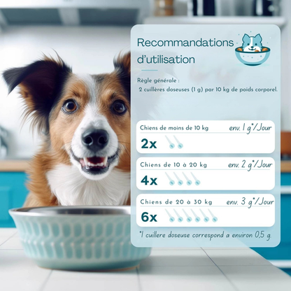 Poudre intestinale à base de plantes pour chiens