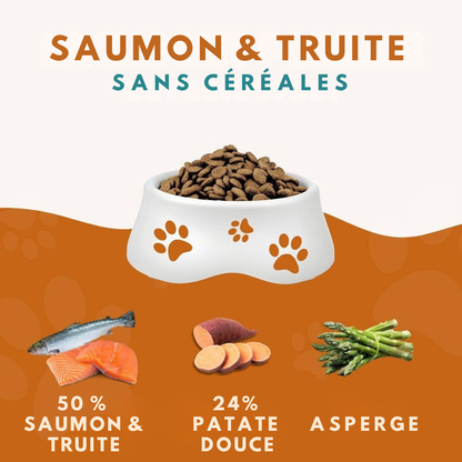 Croquettes au saumon et à la truite pour chiens adultes