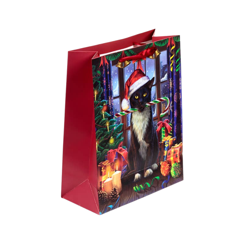 Grand sac cadeau de Noël à motif chat avec étiquette