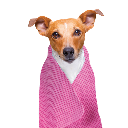 Serviette rafraîchissante pour chiens et chats
