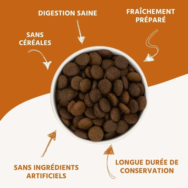 Croquettes au saumon et à la truite pour chiens adultes