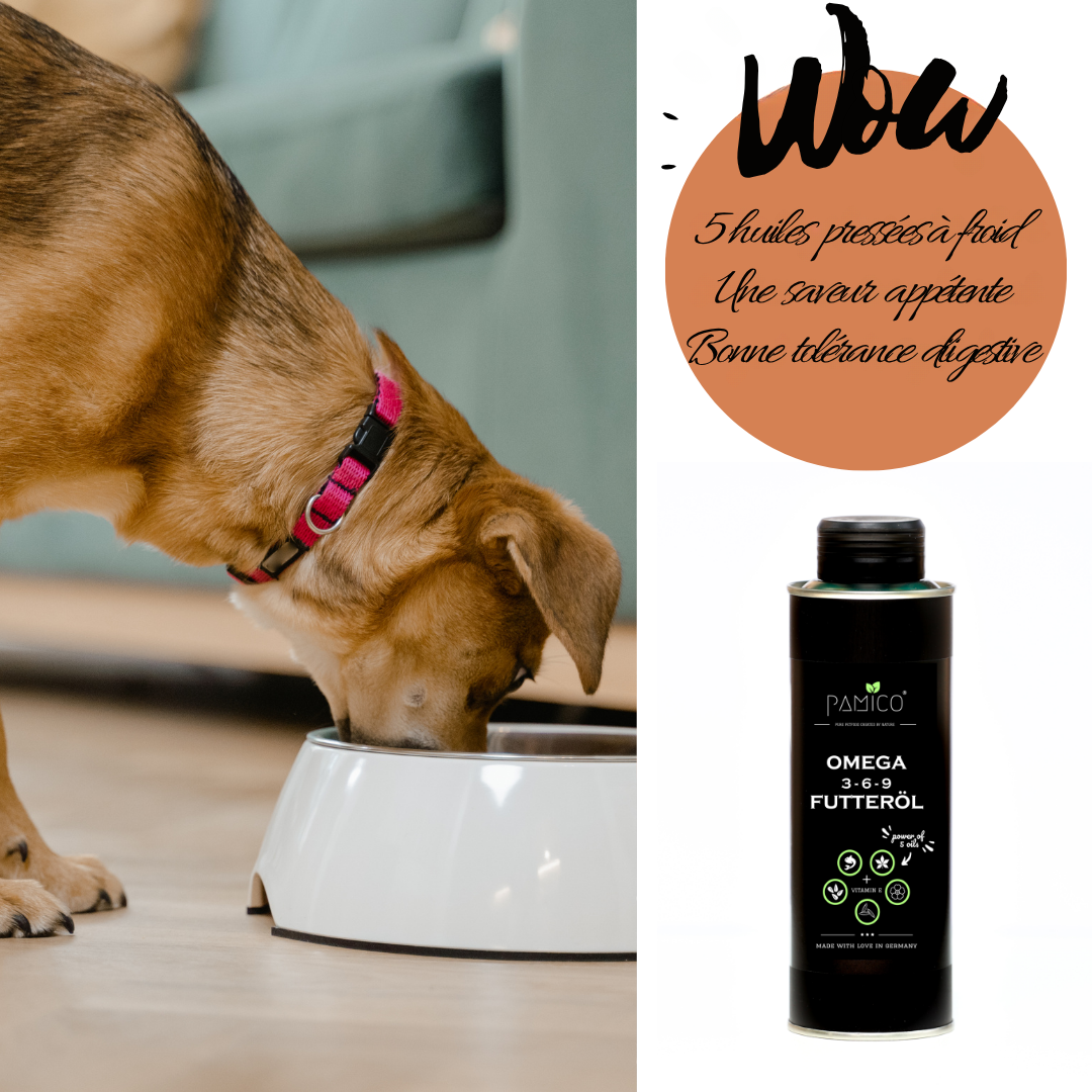 Huile alimentaire oméga 3-6-9 et vitamine E pour chiens