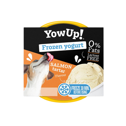 Yaourt sans lactose à congeler saveur tartare de saumon pour chiens et chats