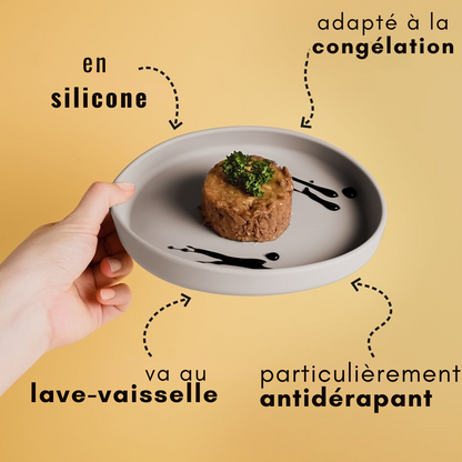 Gamelle plate en silicone