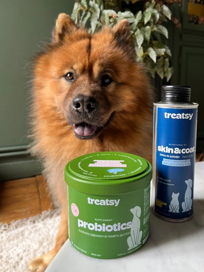 Complément alimentaire probiotiques au poulet pour chiens