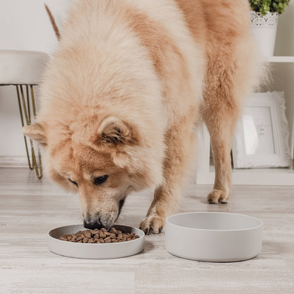 Gamelle en silicone avec couvercle