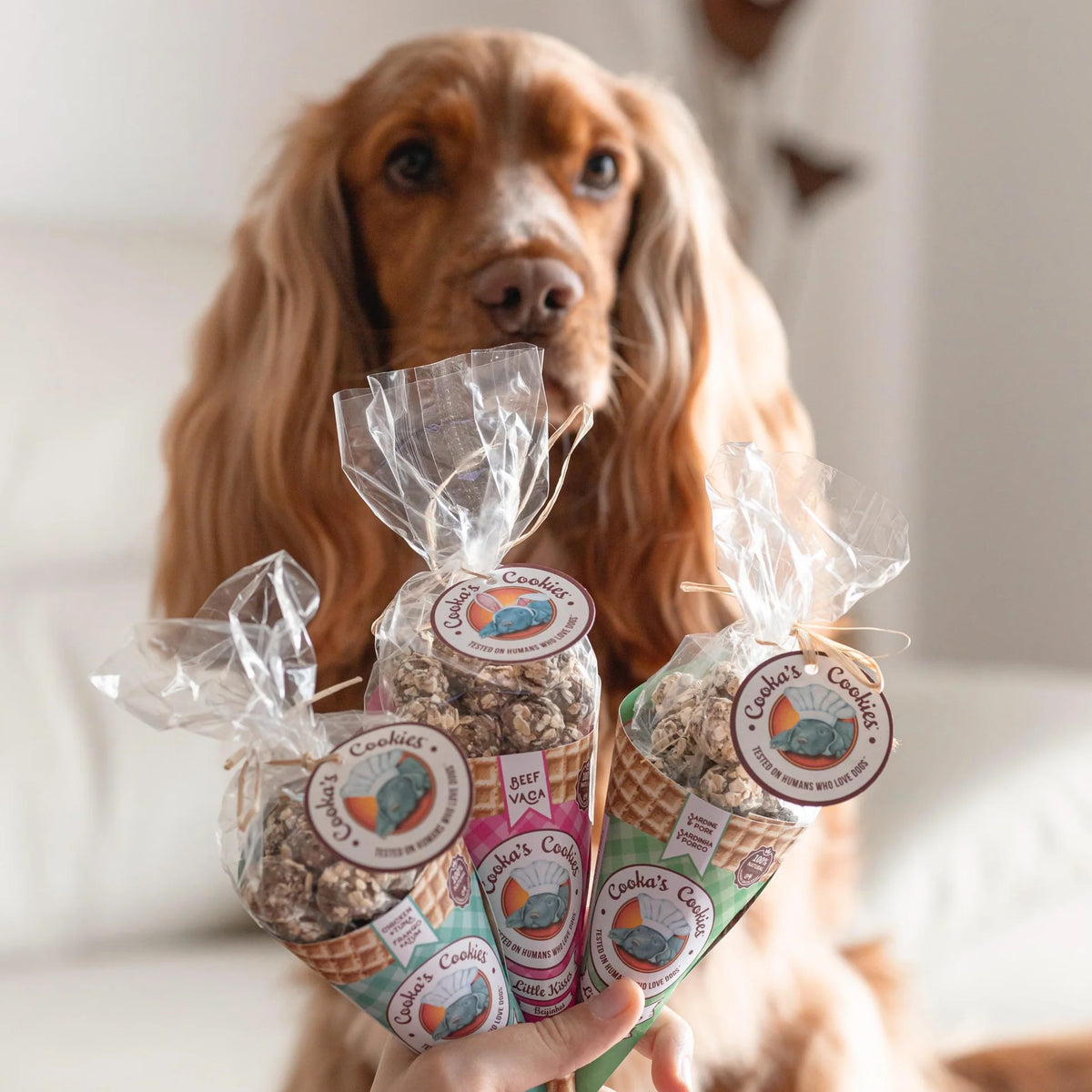 Cornet de friandises au porc et à la sardine pour chiens