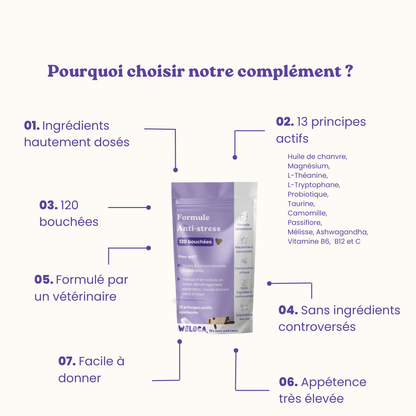 Complément alimentaire anti-stress pour chats