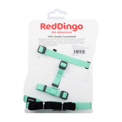 Kit collier, harnais et laisse vert pastel pour chiots