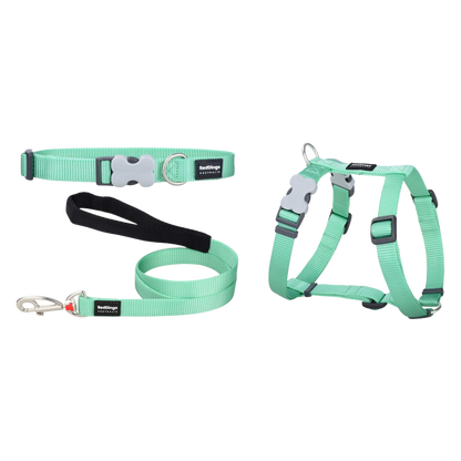 Kit collier, harnais et laisse vert pastel pour chiots