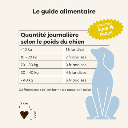 Complément alimentaire mobilité pour chiens
