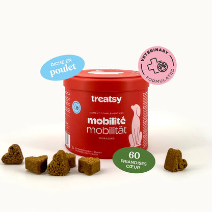 Complément alimentaire mobilité pour chiens